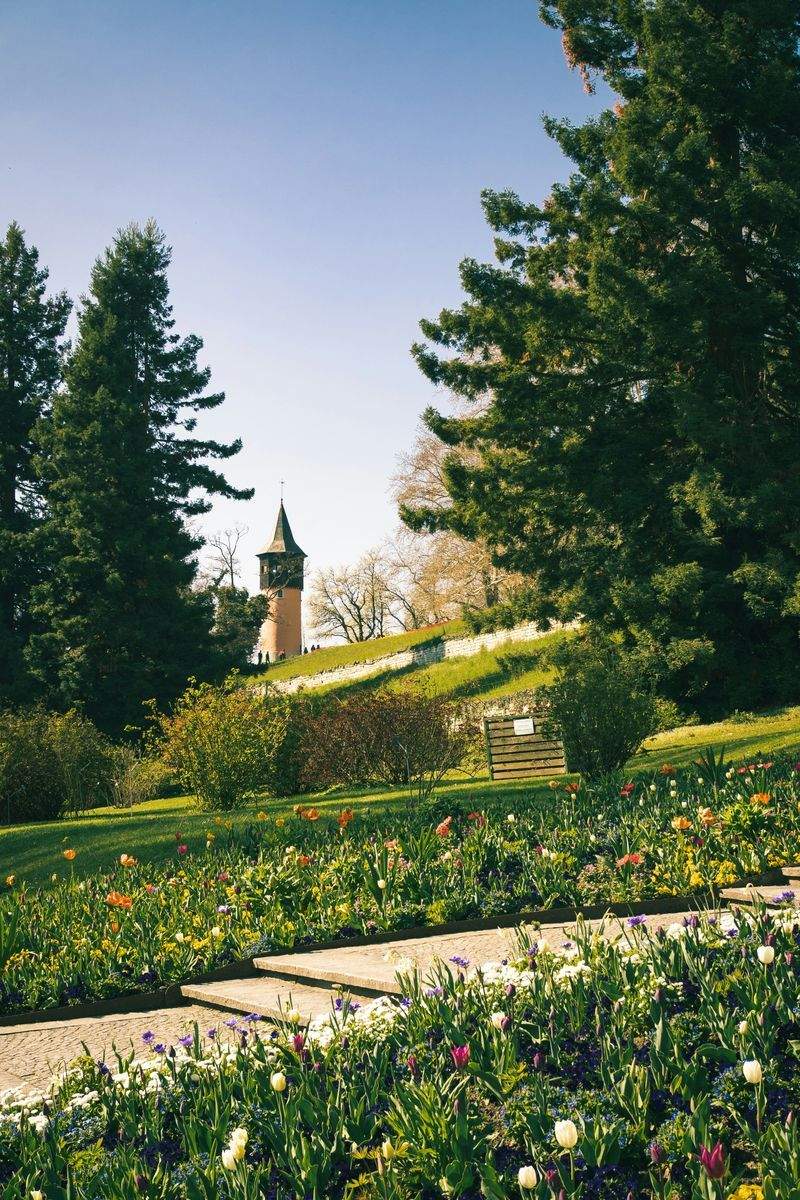 Simple Ways to Refresh Your Garden for Spring