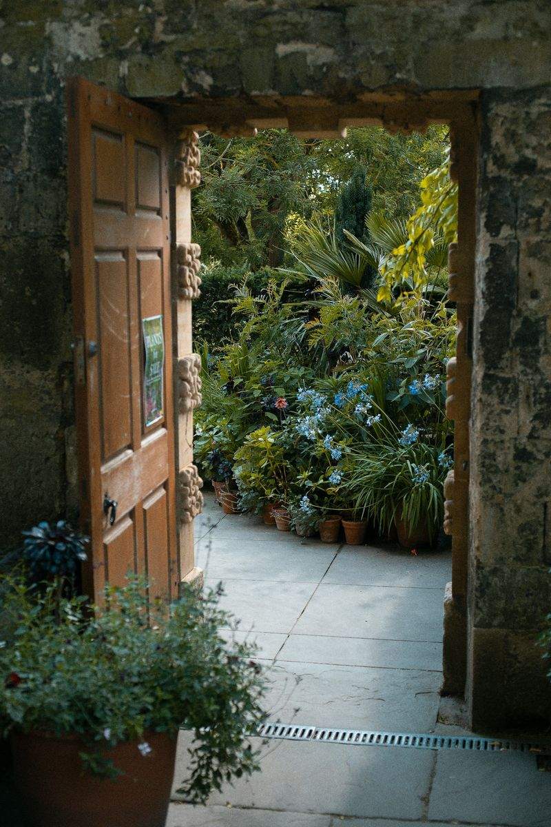 Maple Bloom Garden Studio 1
